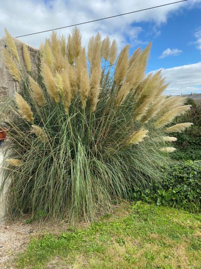 Gîte du Bois Pennier, au calme , à 15 km des plages du Débarquement Picauville Exterior foto